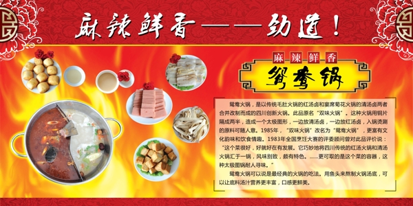 鴛鴦火鍋圖片