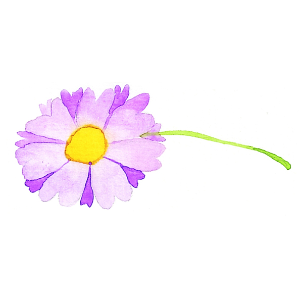 位圖植物寫意花卉花朵野花免費(fèi)素材