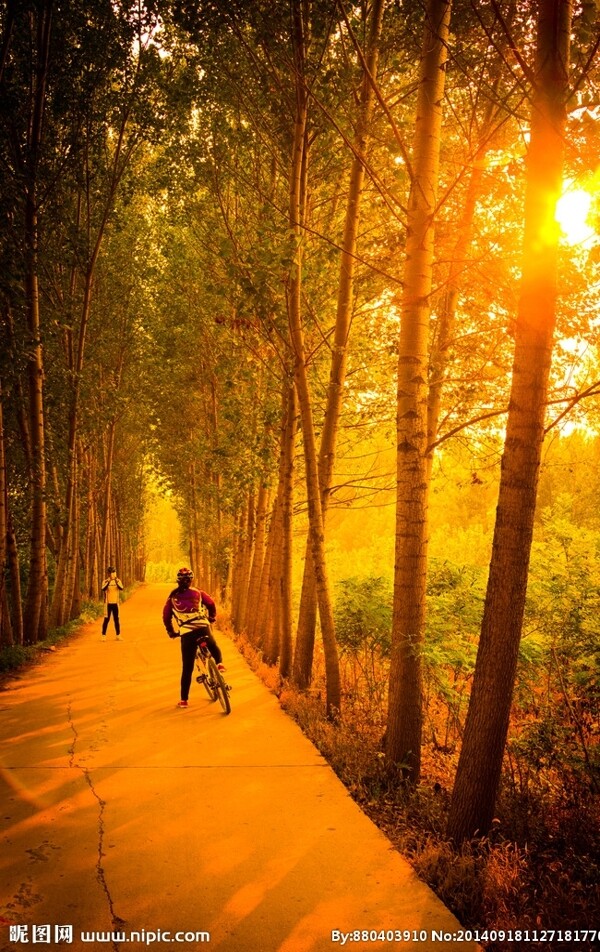 夕陽小路圖片