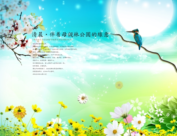 夢(mèng)幻風(fēng)景圖片