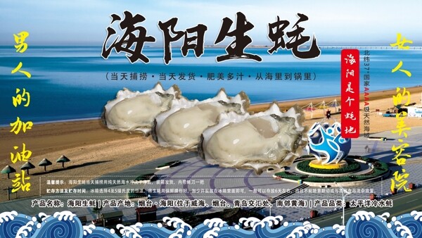 海阳生蚝牡蛎海蛎子