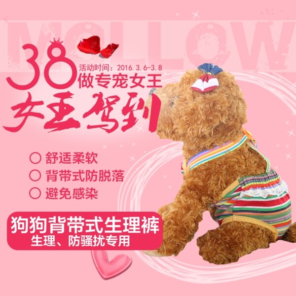 3.8女王節(jié)