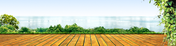 淘寶背景banner