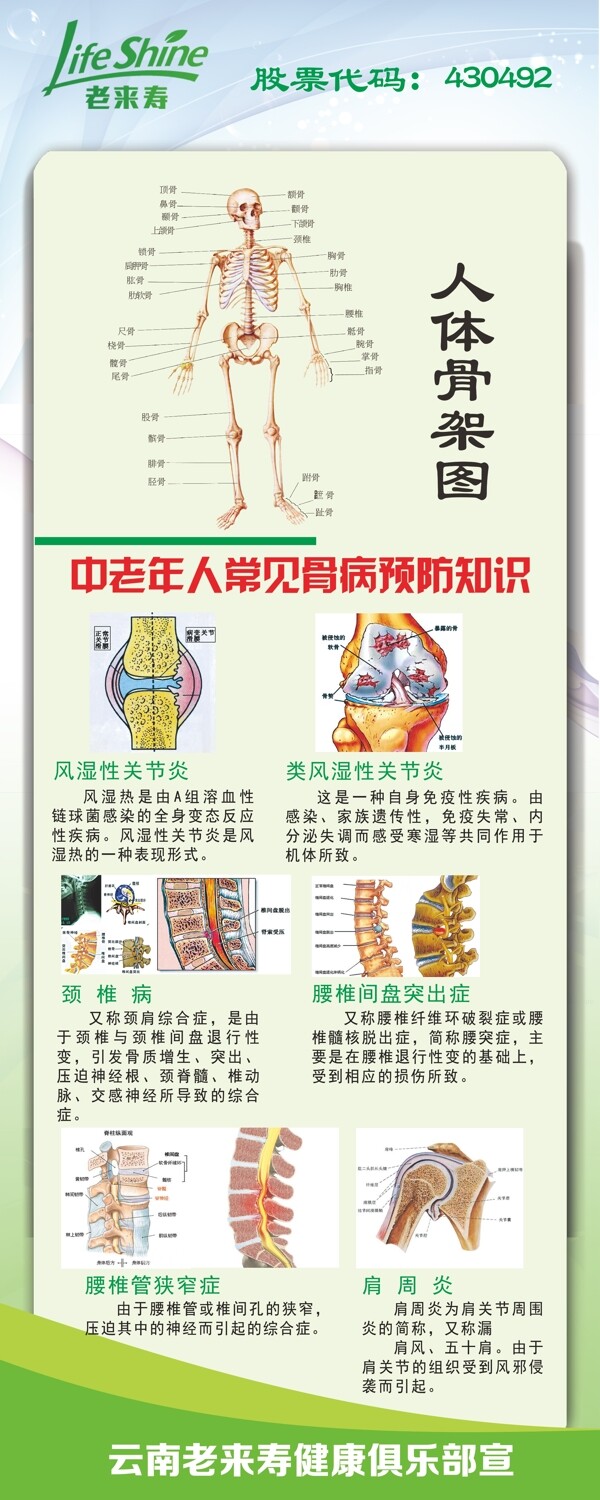 人體常見骨病
