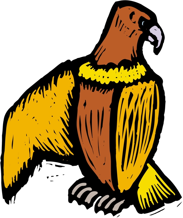各種鳥類鳥動物矢量素材EPS格式0811