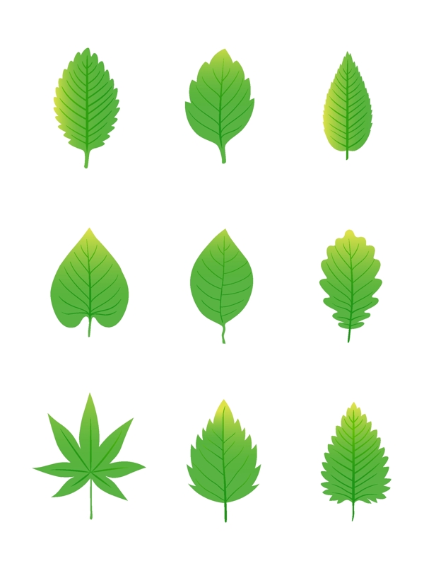绿叶元素之卡通简约树叶元素套图