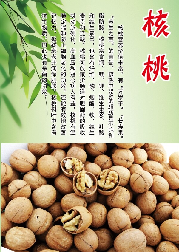 核桃