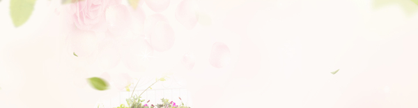 banner圖片