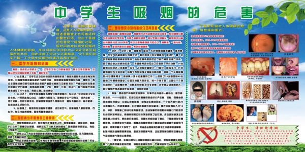 中學(xué)生吸煙的危害