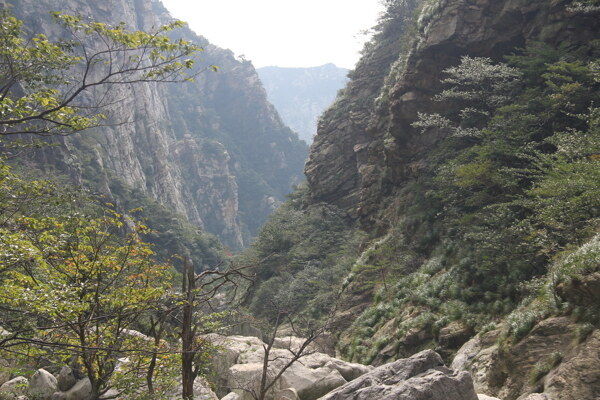 廬山