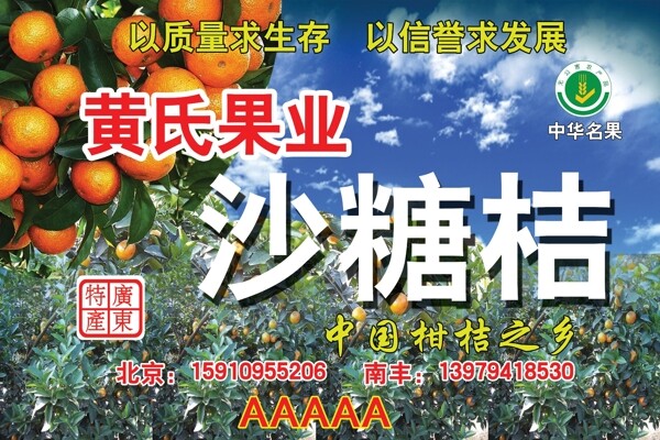 沙糖桔圖片