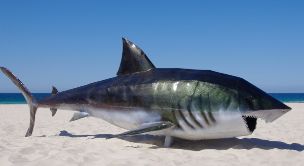 海边鲨鱼雕塑图片