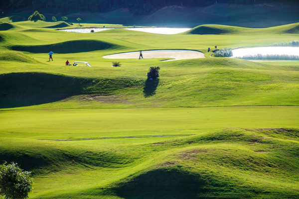 草地草坡高尔夫球场风景图片