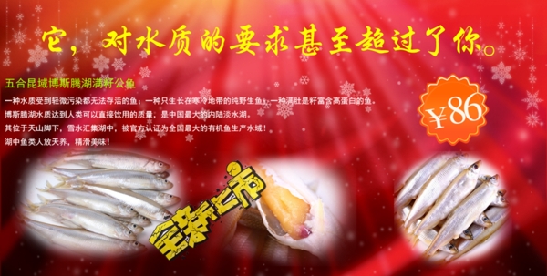 公魚海報(bào)
