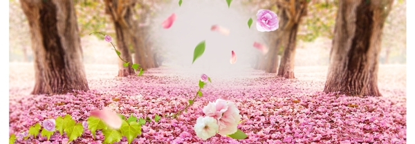 淘寶花朵背景大圖9