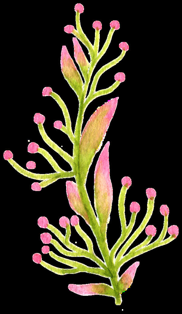 粉色果樹透明裝飾素材