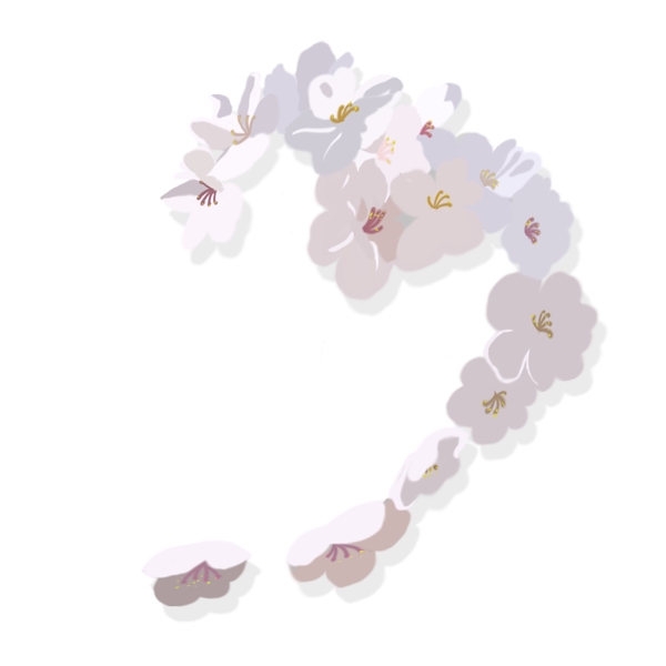 櫻花漂浮PNG素材