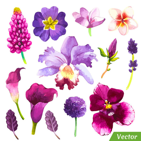 水彩花朵圖案圖片