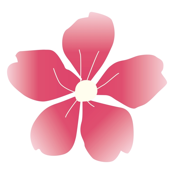 手绘粉色花卉PNG透明素材