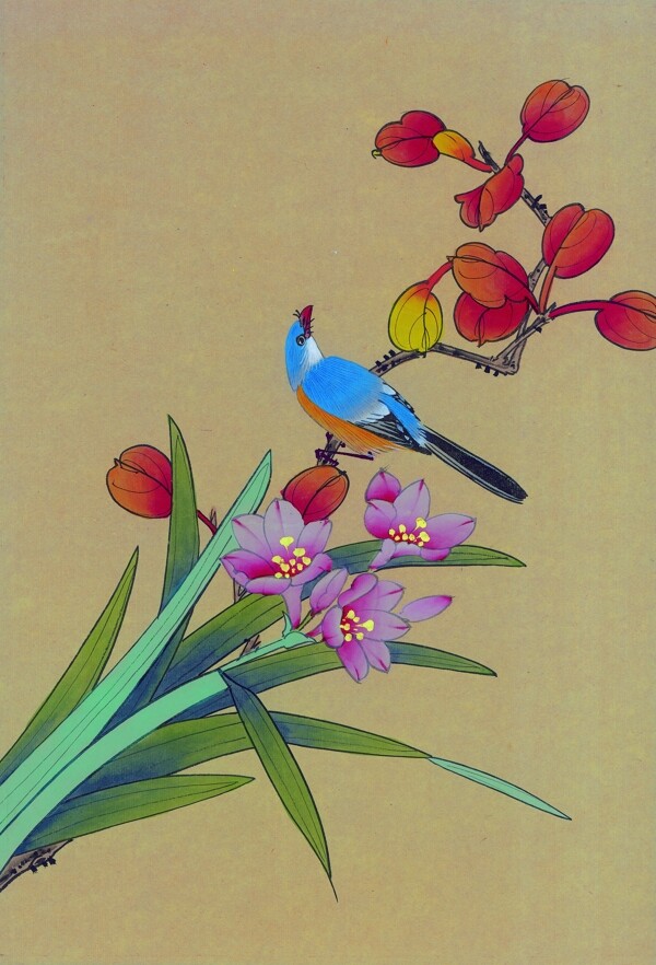 植物與鳥圖片