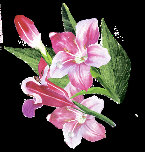 常見花卉卡通透明素材
