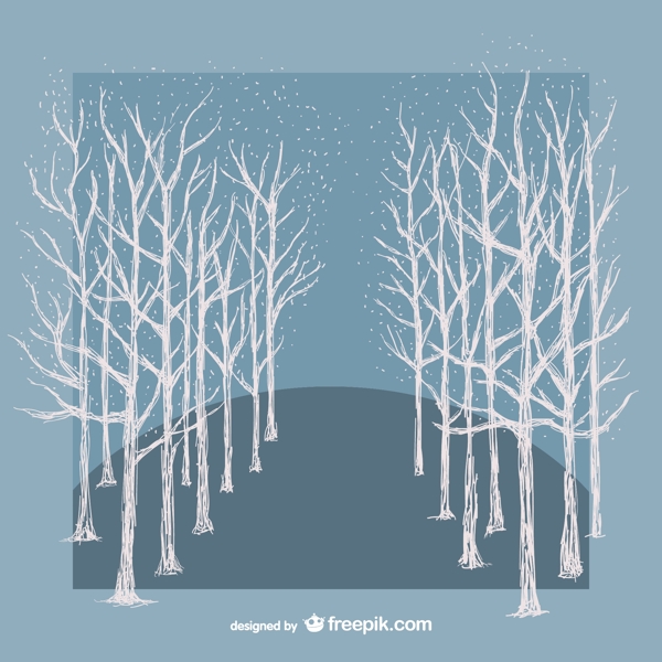 白冬树种