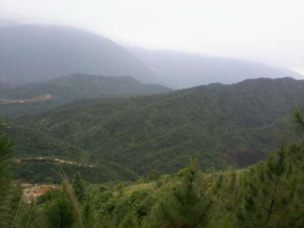 潮州凤凰山雾景图片
