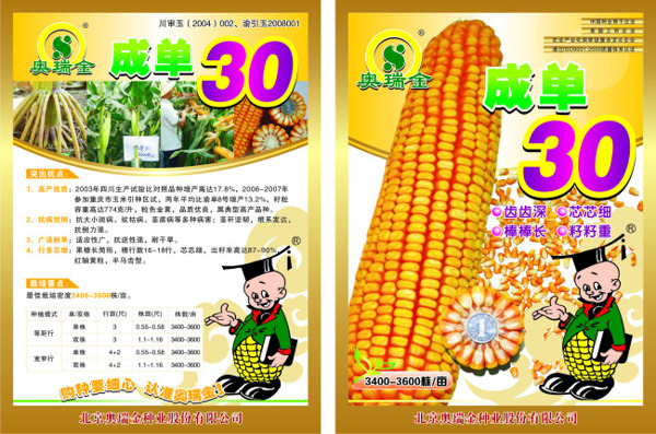 玉米宣傳單