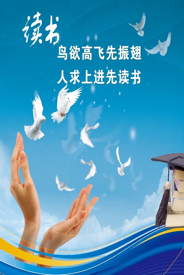 讀書(shū)
