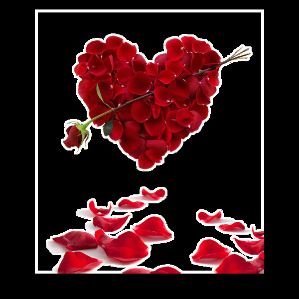 浪漫红色心形花瓣元素