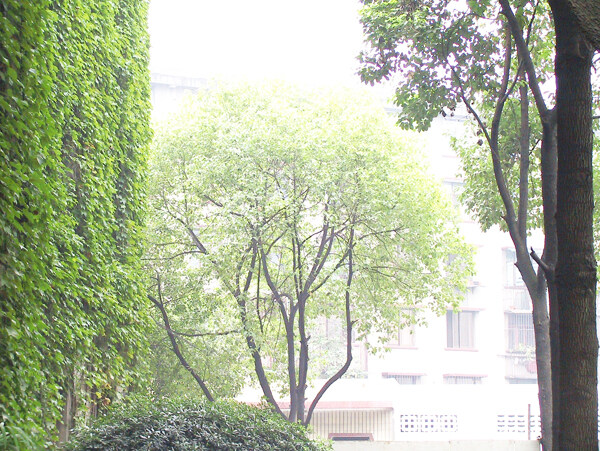 大氣豪華的客廳裝飾