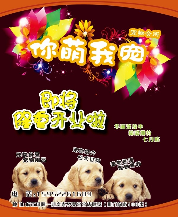 寵物店即將開業(yè)展板圖片
