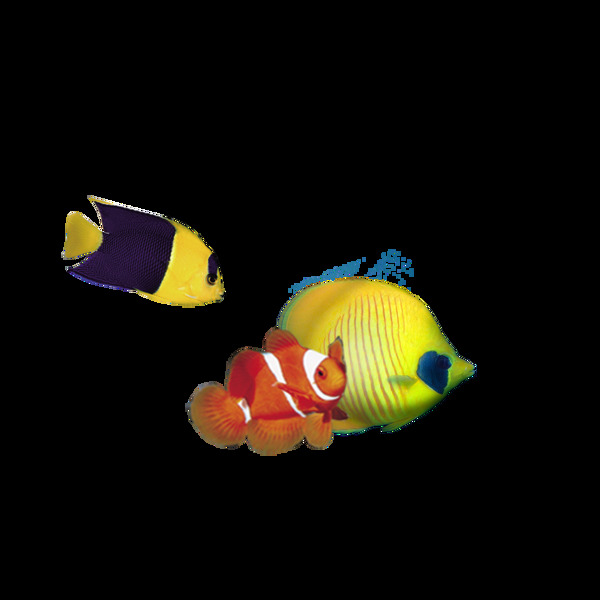 海洋生物魚類png元素