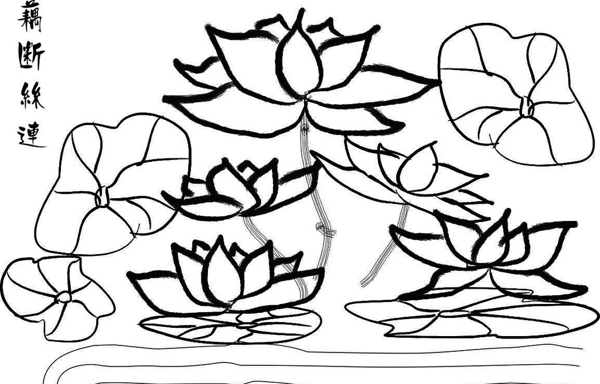 荷花