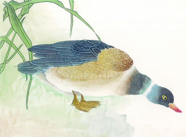 中華藝術(shù)繪畫古畫動(dòng)物繪畫孔雀天鵝鴛鴦鳳凰中國古代繪畫