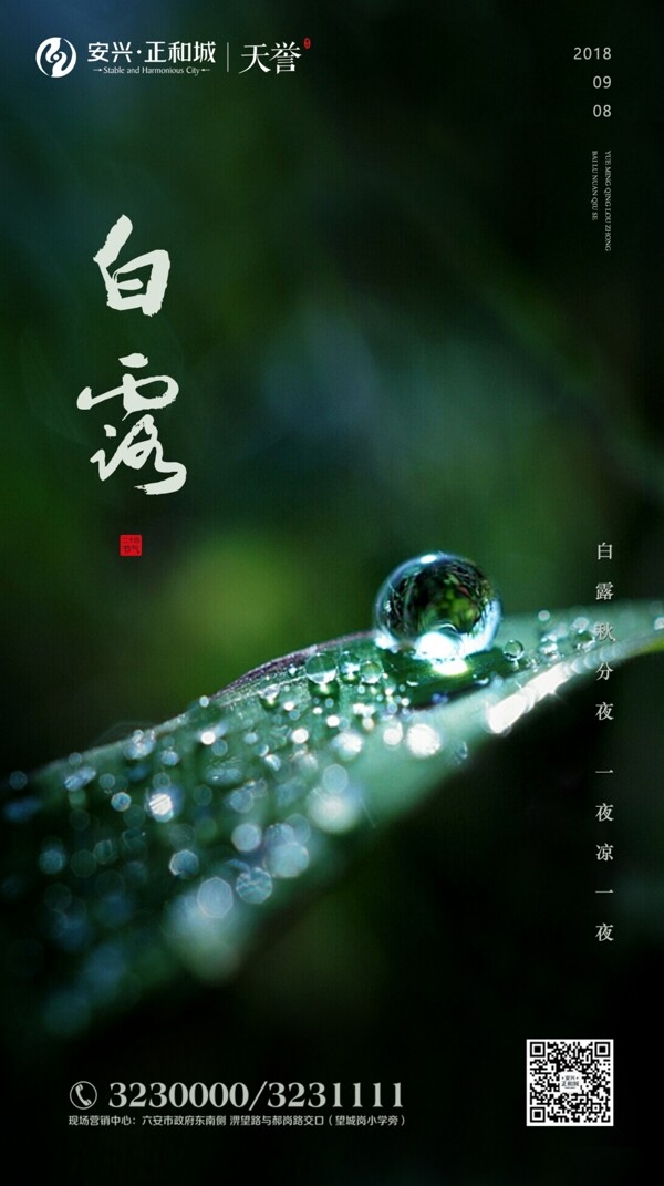 白露
