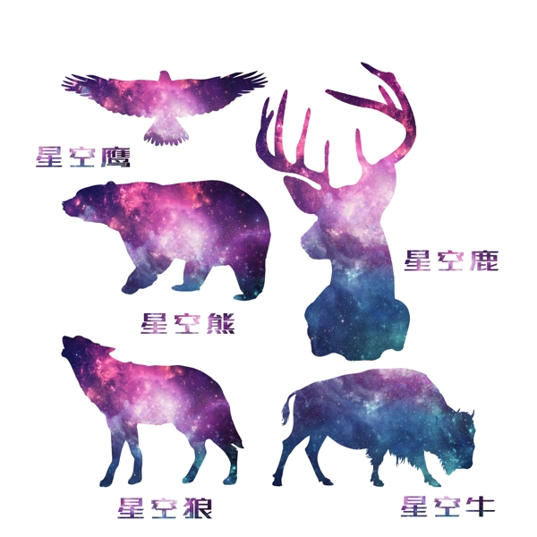 星空動(dòng)物
