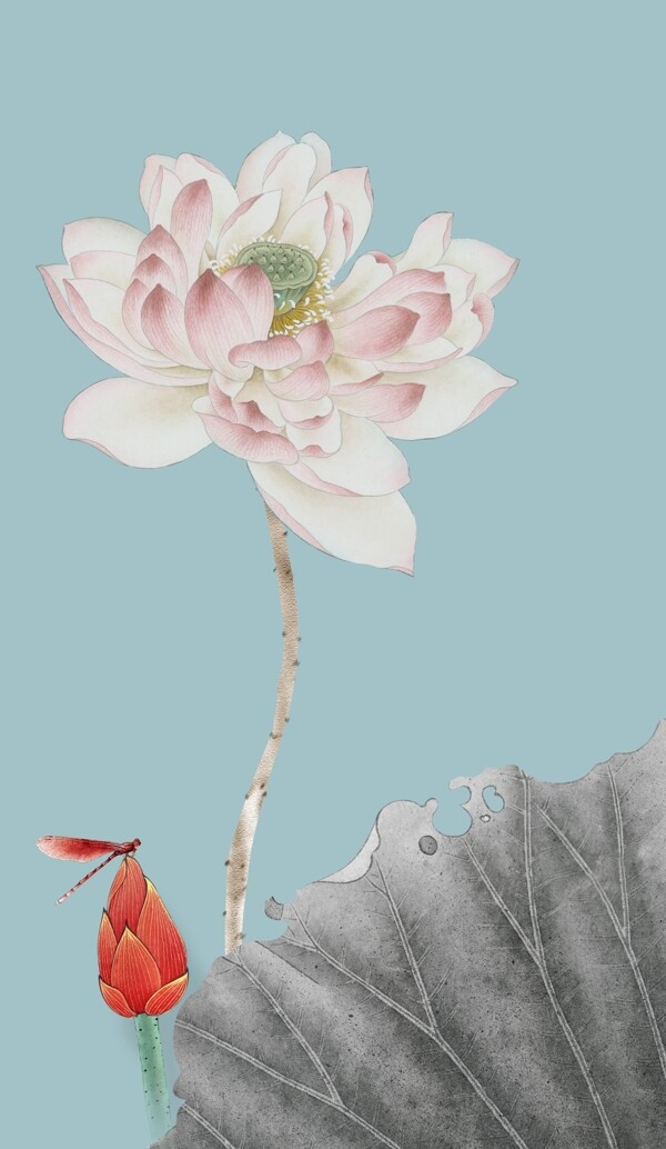 荷花玄關(guān)