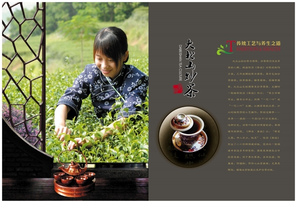 茶葉畫冊(cè)圖片