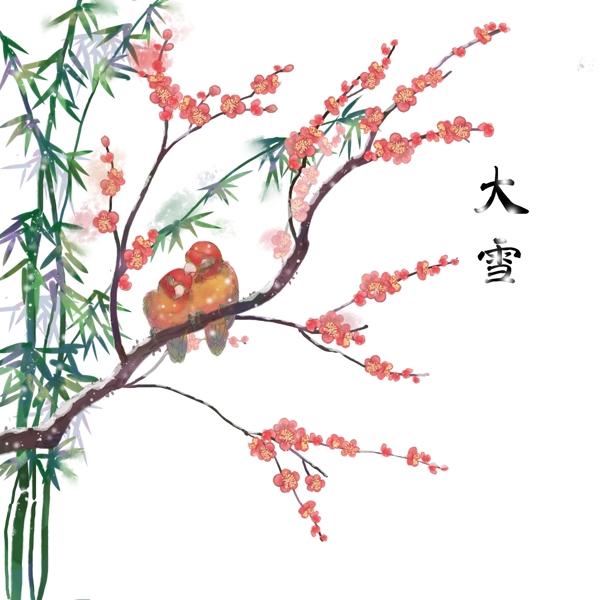 卡通手绘二十四节气大雪两只鹦鹉相依在梅花上
