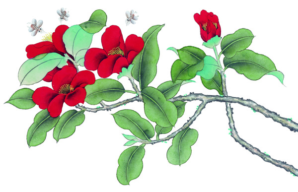 花卉图案中国画