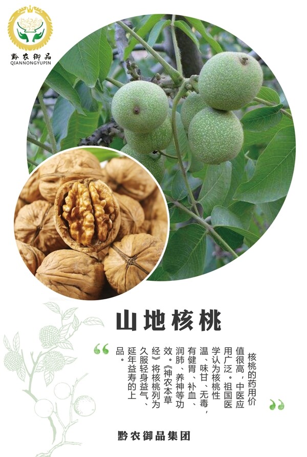 核桃海報
