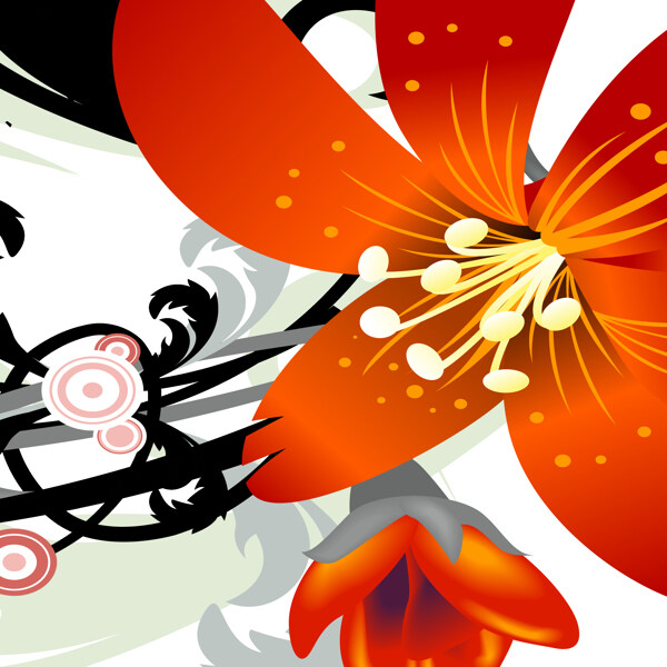 百合花裝飾素材