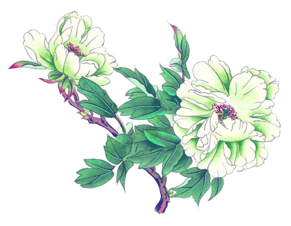 盛花033