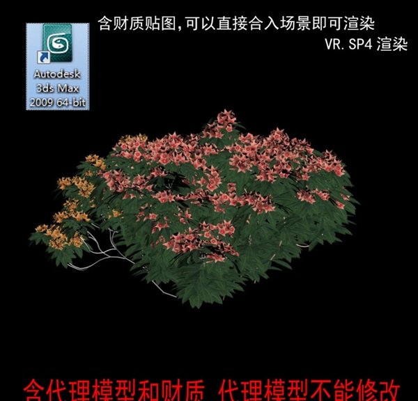 代理植物