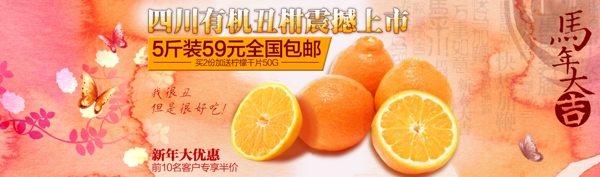 橘子海報(bào)