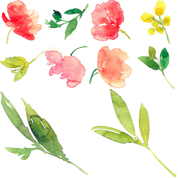 清新水彩繪花朵和葉子插畫