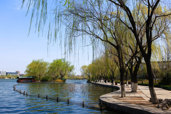 河邊公園背景圖片