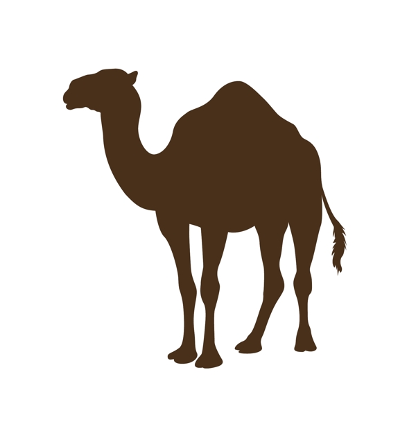 卡通骆驼