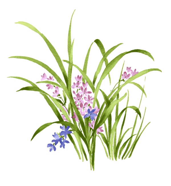 花朵素材圖片